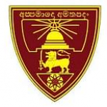 Annada College